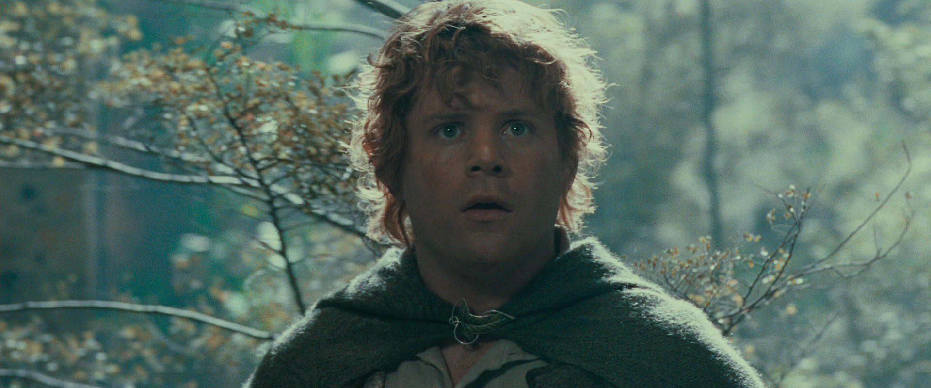 The Lord of the Rings: The Fellowship of the Ring (2001) HD screenshot 21914