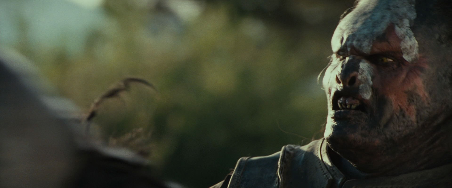 The Lord of the Rings: The Fellowship of the Ring (2001) HD screenshot 21929