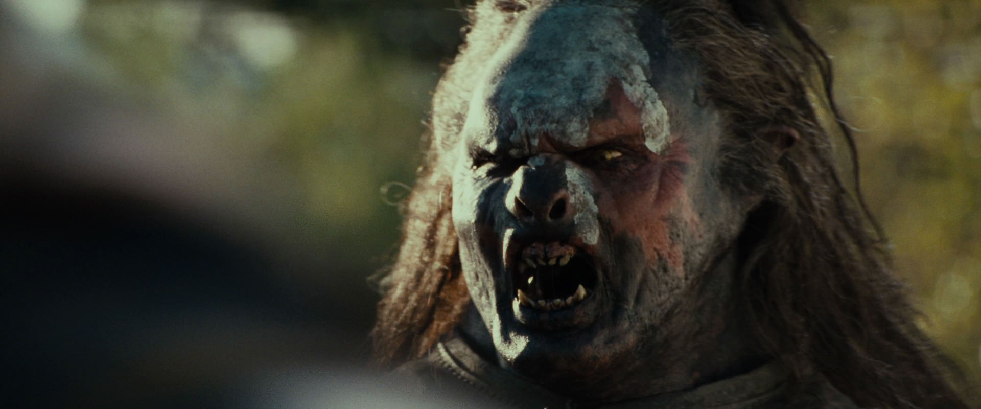 The Lord of the Rings: The Fellowship of the Ring (2001) screencap 21930