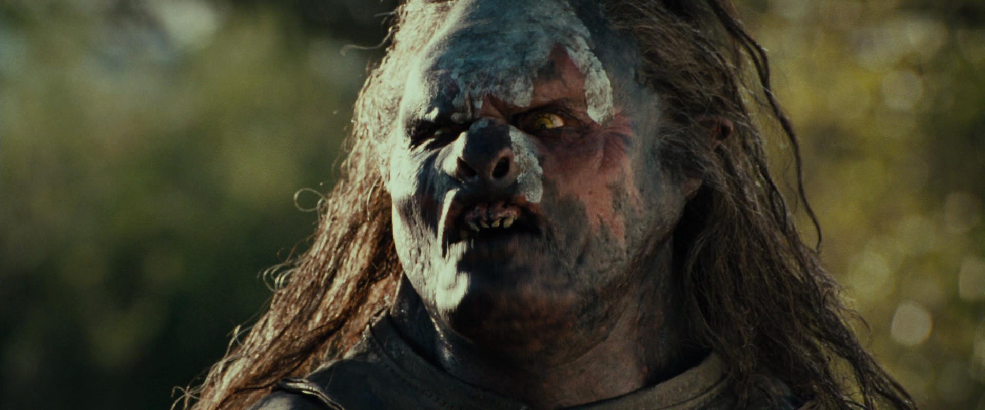 The Lord of the Rings: The Fellowship of the Ring (2001) HD screenshot 21932