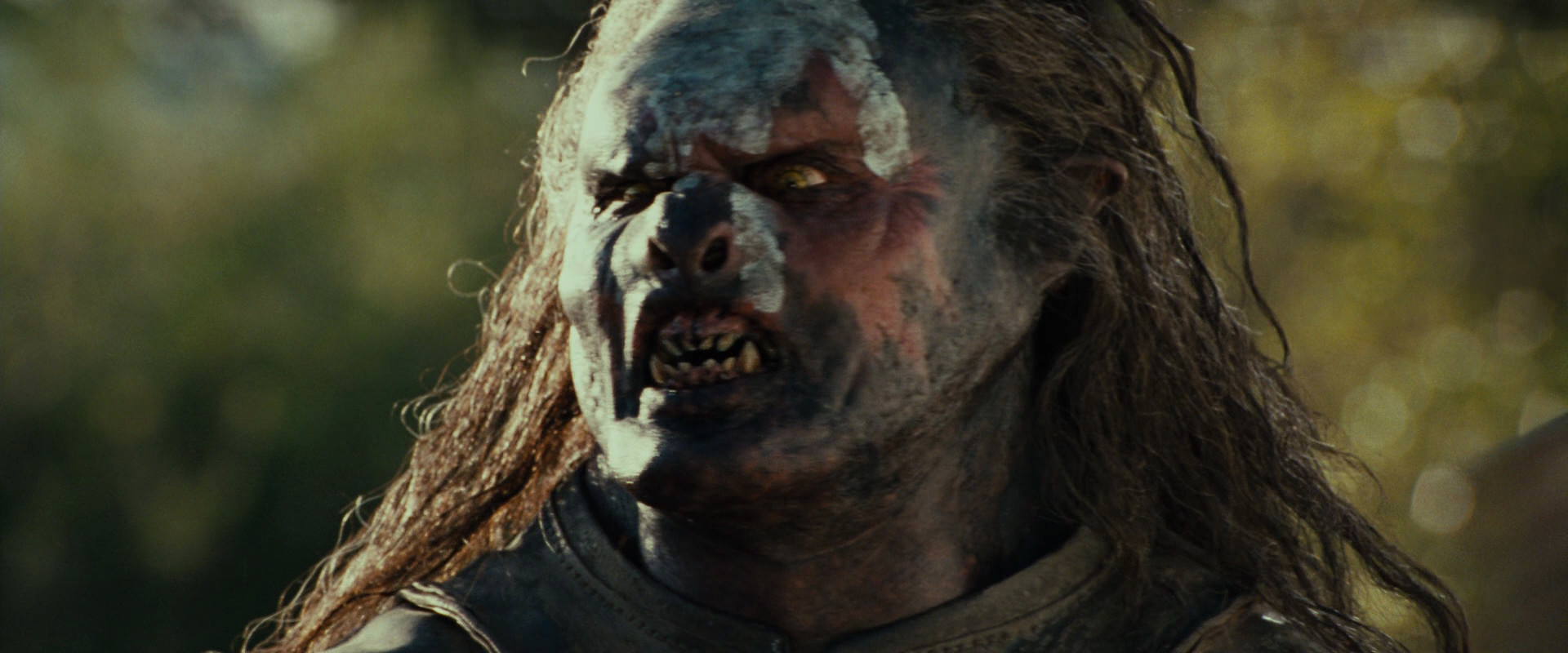 The Lord of the Rings: The Fellowship of the Ring (2001) screencap 21933