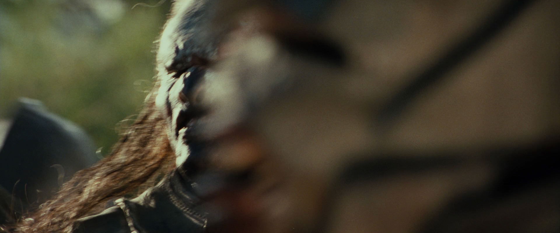 The Lord of the Rings: The Fellowship of the Ring (2001) screencap 21936