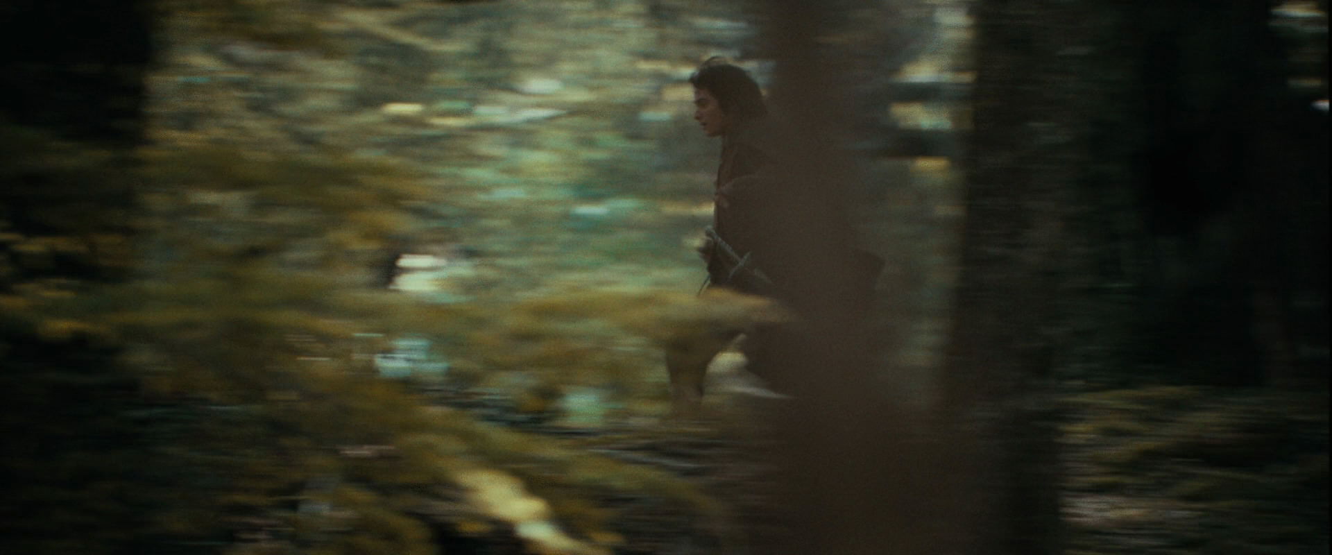 The Lord of the Rings: The Fellowship of the Ring (2001) screencap 21939