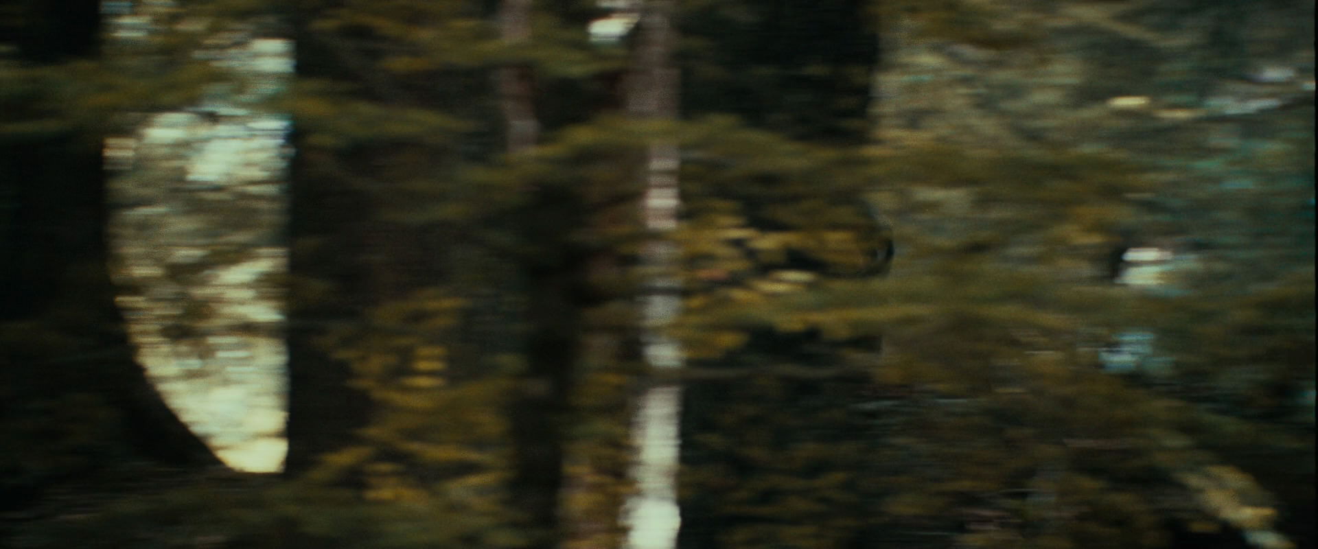 The Lord of the Rings: The Fellowship of the Ring (2001) movie still 21940