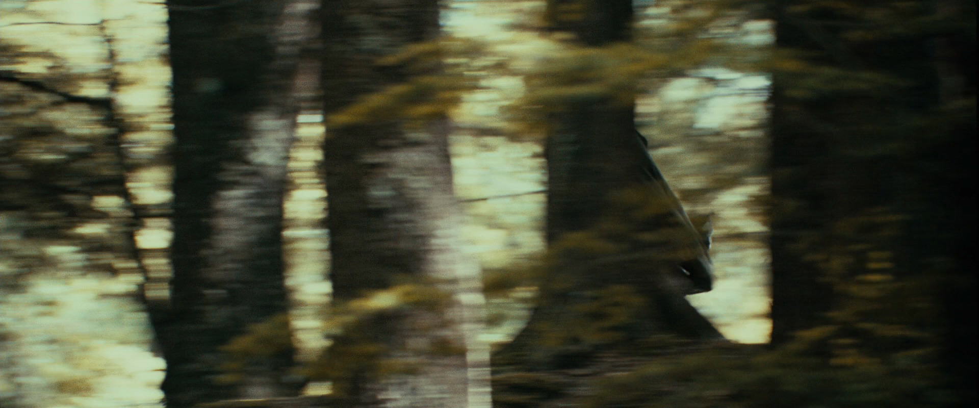 The Lord of the Rings: The Fellowship of the Ring (2001) HD screenshot 21941
