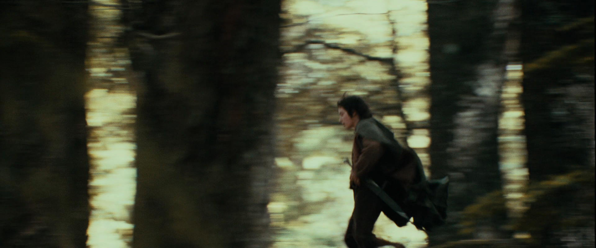 The Lord of the Rings: The Fellowship of the Ring (2001) screencap 21942