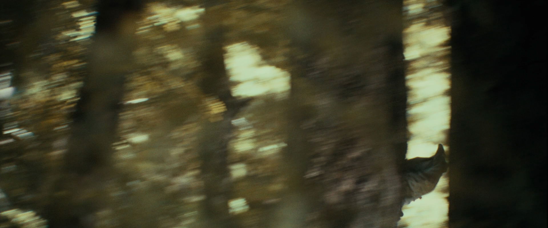 The Lord of the Rings: The Fellowship of the Ring (2001) movie still 21943