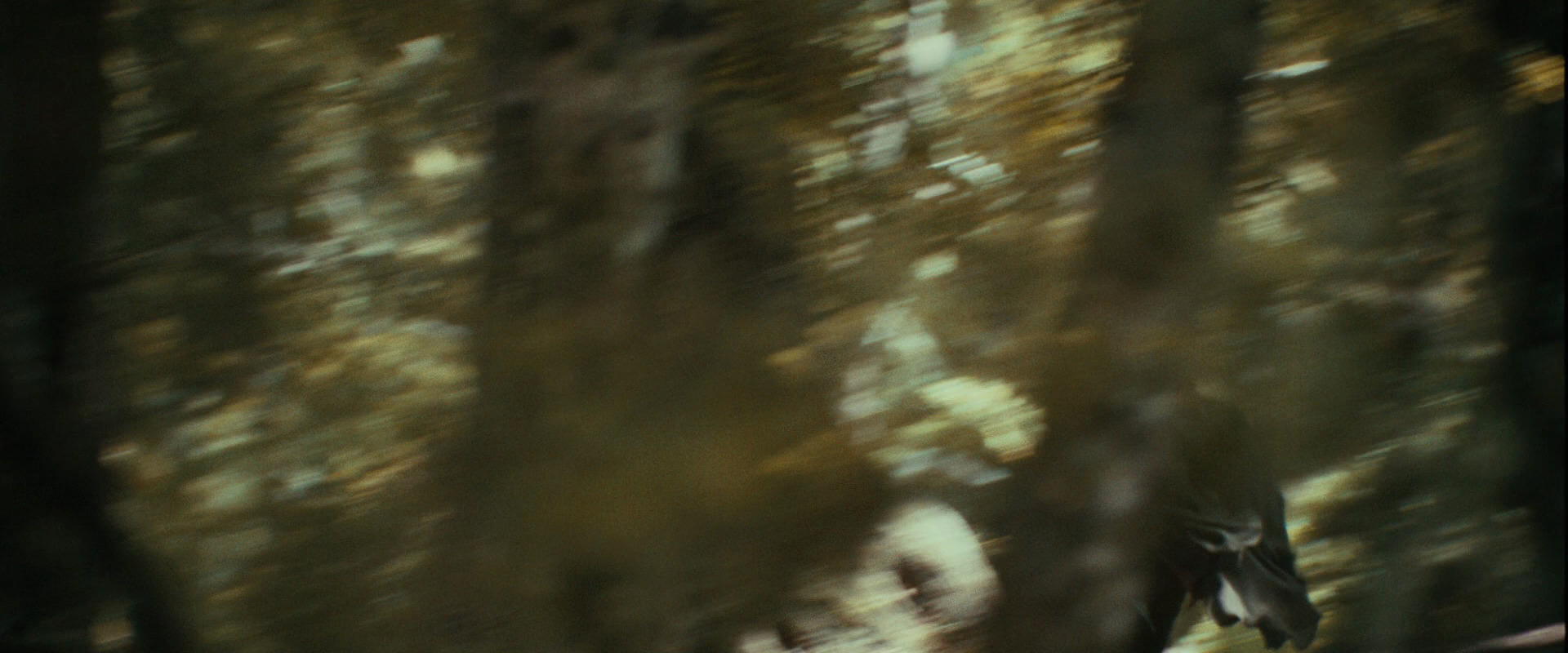 The Lord of the Rings: The Fellowship of the Ring (2001) HD screenshot 21944