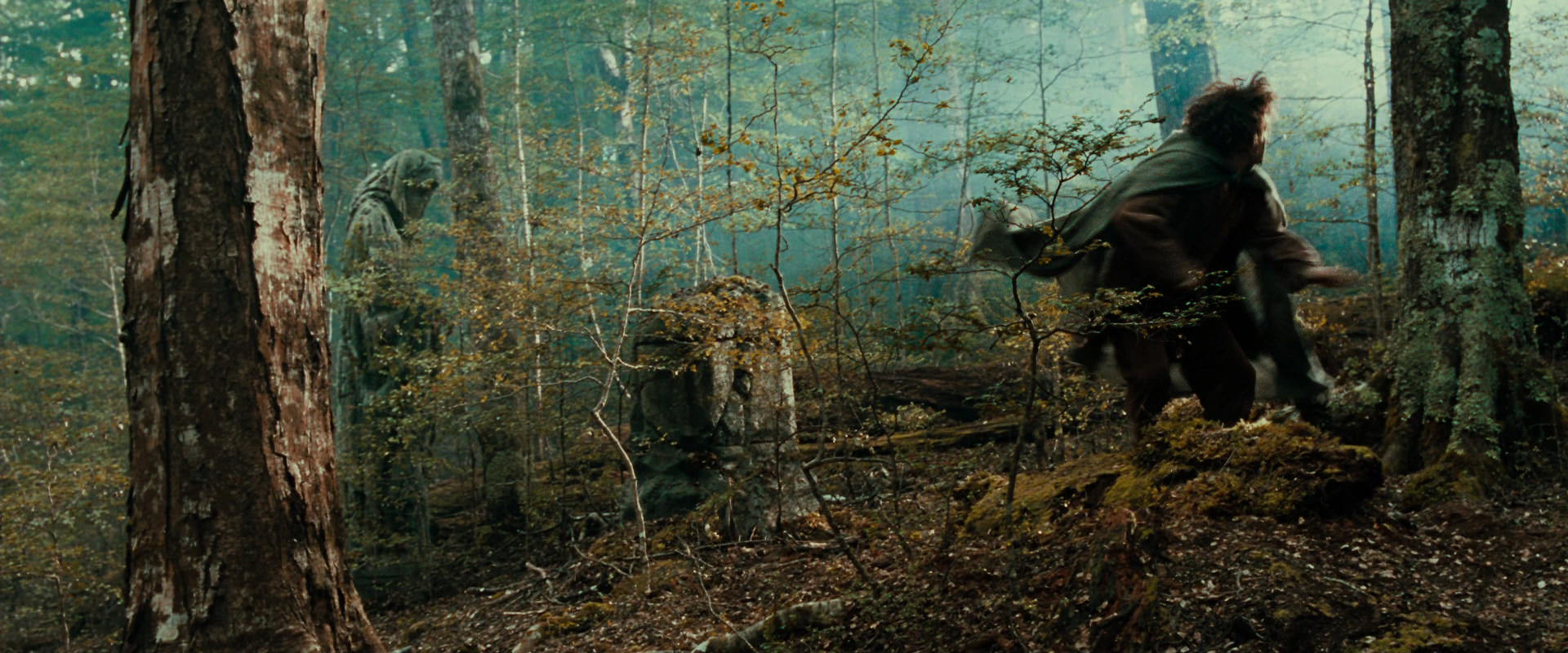 The Lord of the Rings: The Fellowship of the Ring (2001) HD screenshot 21977