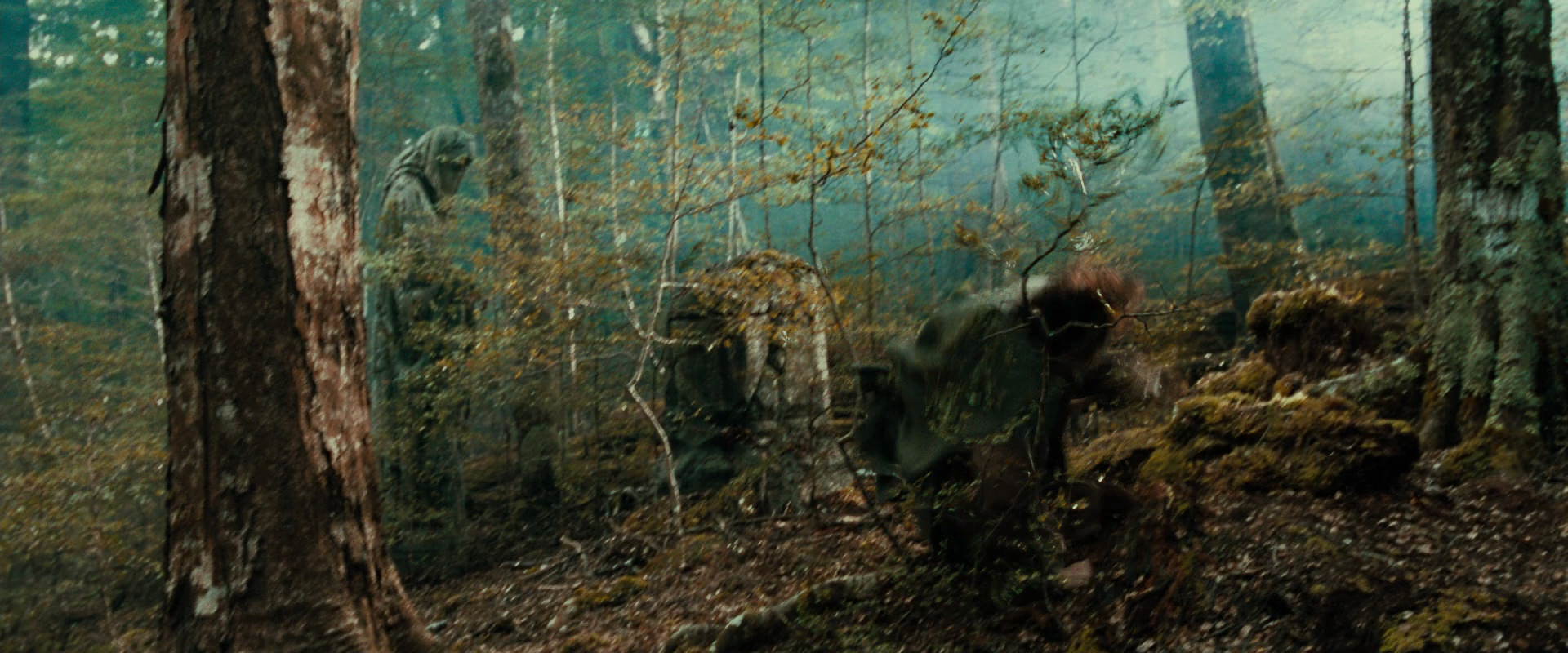 The Lord of the Rings: The Fellowship of the Ring (2001) screencap 21978