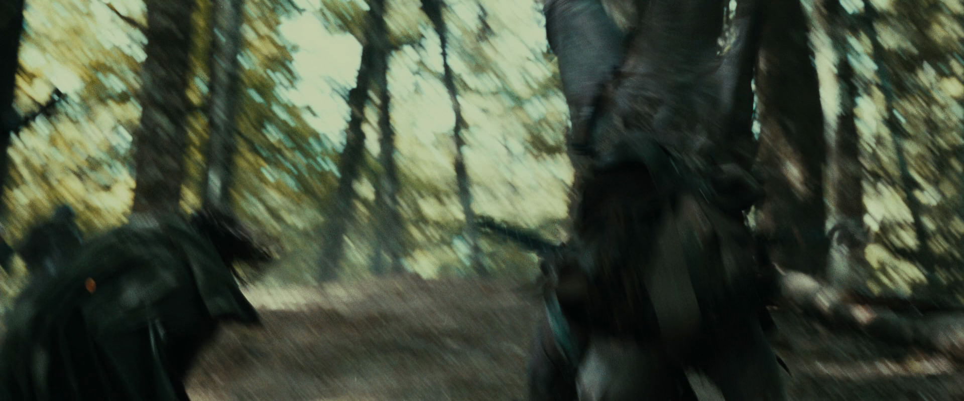 The Lord of the Rings: The Fellowship of the Ring (2001) screencap 21984