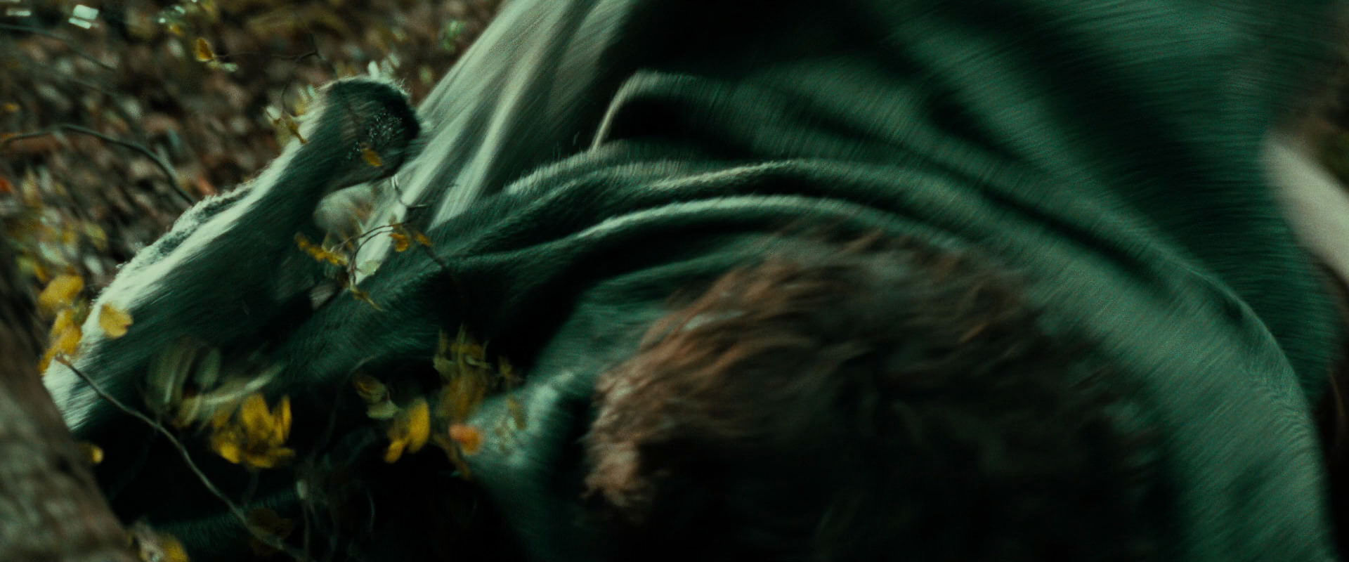 The Lord of the Rings: The Fellowship of the Ring (2001) HD screenshot 21986