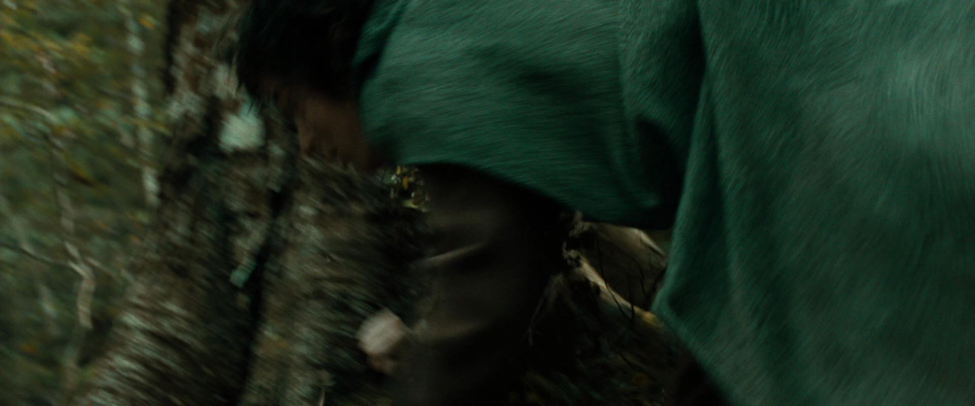 The Lord of the Rings: The Fellowship of the Ring (2001) screencap 21987