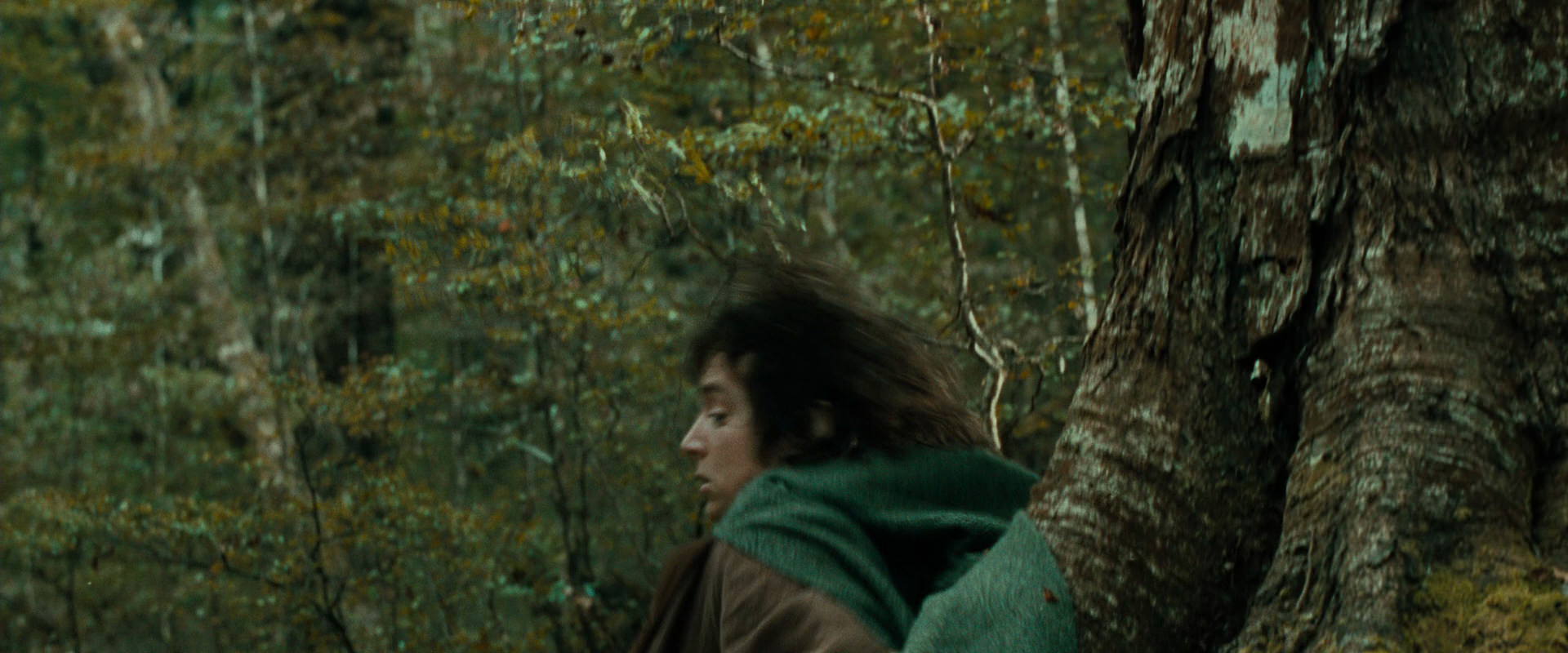 The Lord of the Rings: The Fellowship of the Ring (2001) screencap 21990