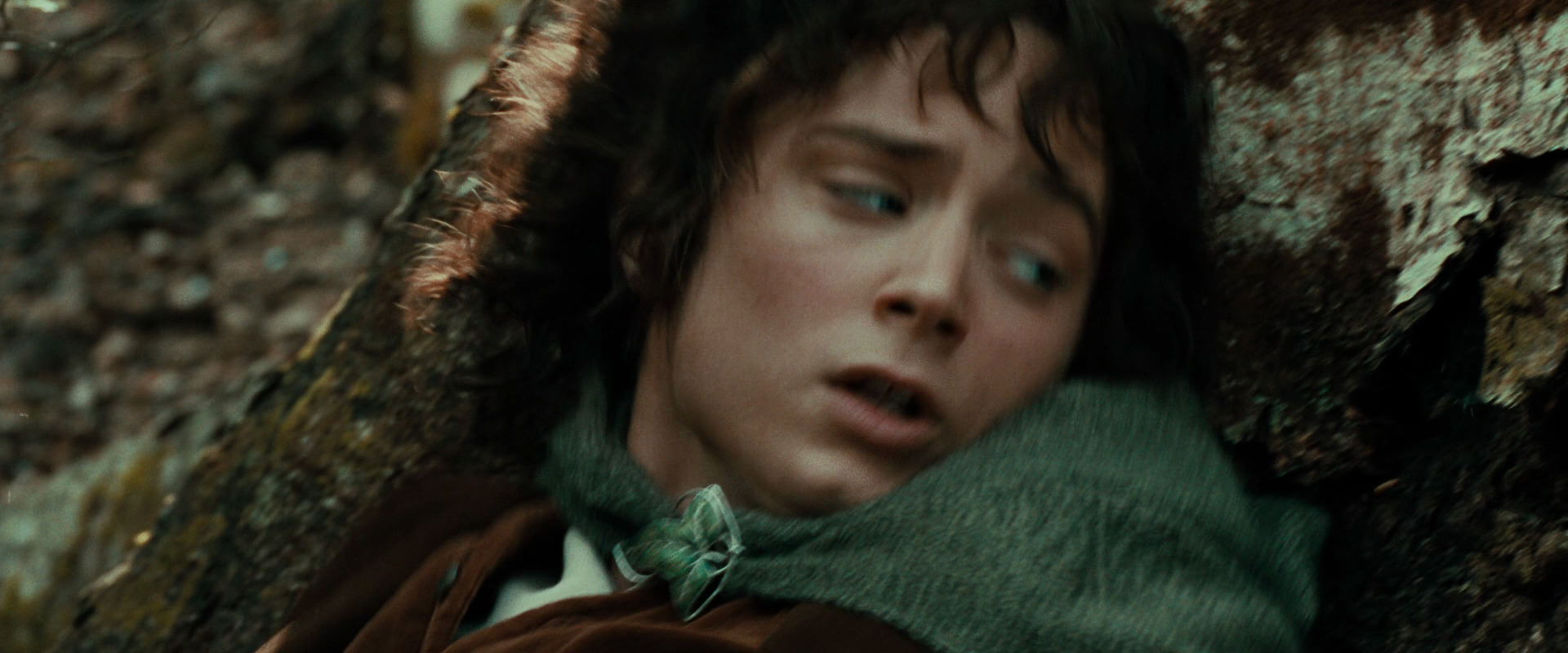 The Lord of the Rings: The Fellowship of the Ring (2001) movie still 21991