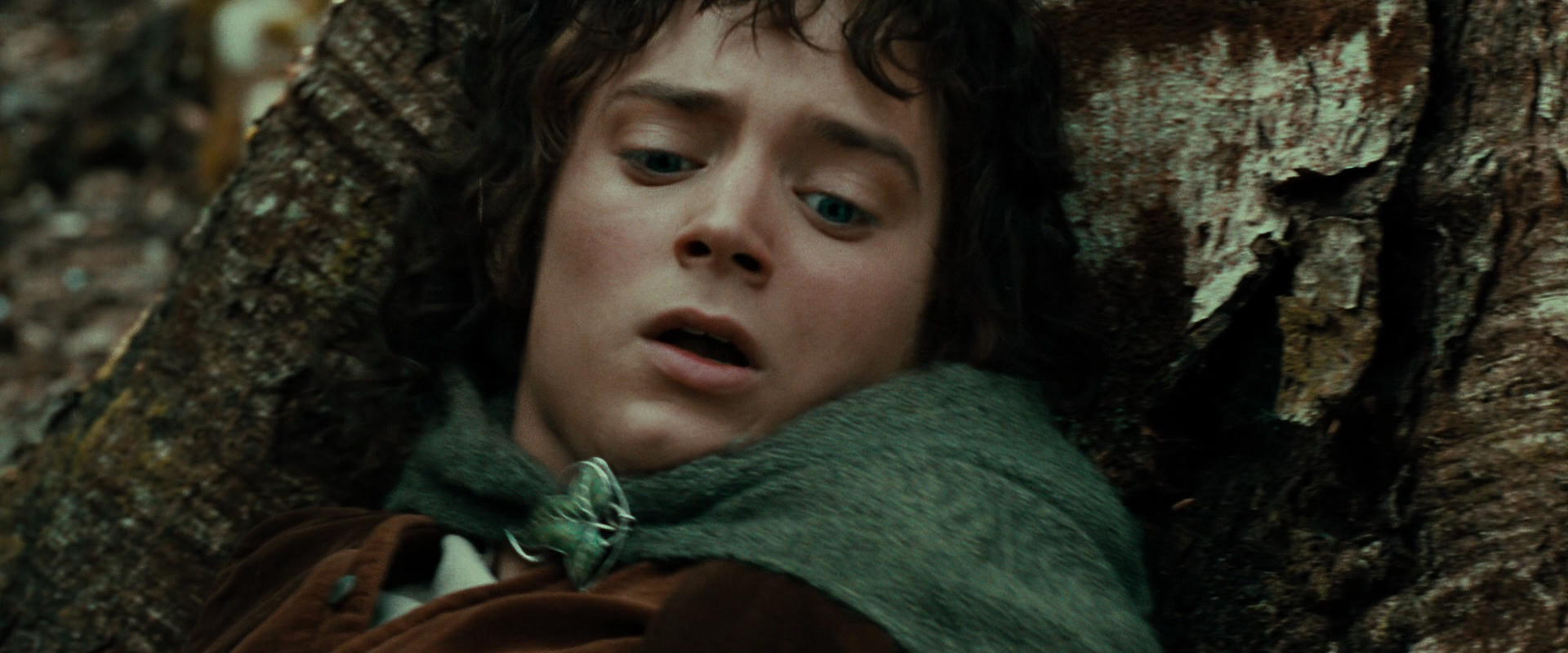 The Lord of the Rings: The Fellowship of the Ring (2001) HD screenshot 21992