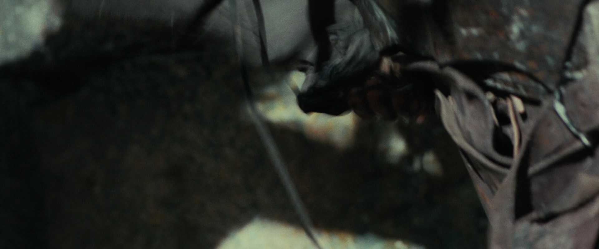 The Lord of the Rings: The Fellowship of the Ring (2001) screencap 21996