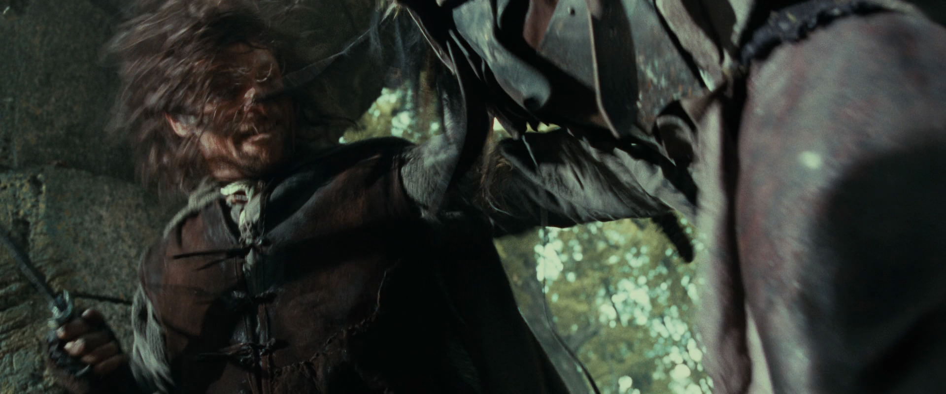 The Lord of the Rings: The Fellowship of the Ring (2001) HD screenshot 21998