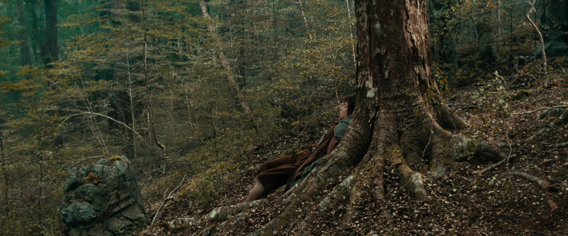 The Lord of the Rings: The Fellowship of the Ring (2001) movie still 22000