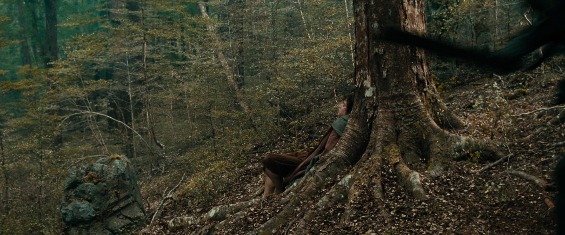 The Lord of the Rings: The Fellowship of the Ring (2001) HD screenshot 22001