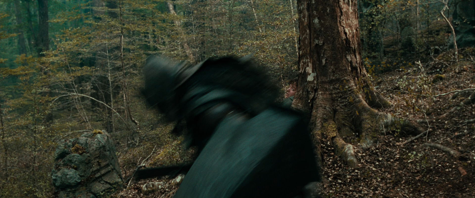The Lord of the Rings: The Fellowship of the Ring (2001) screencap 22002