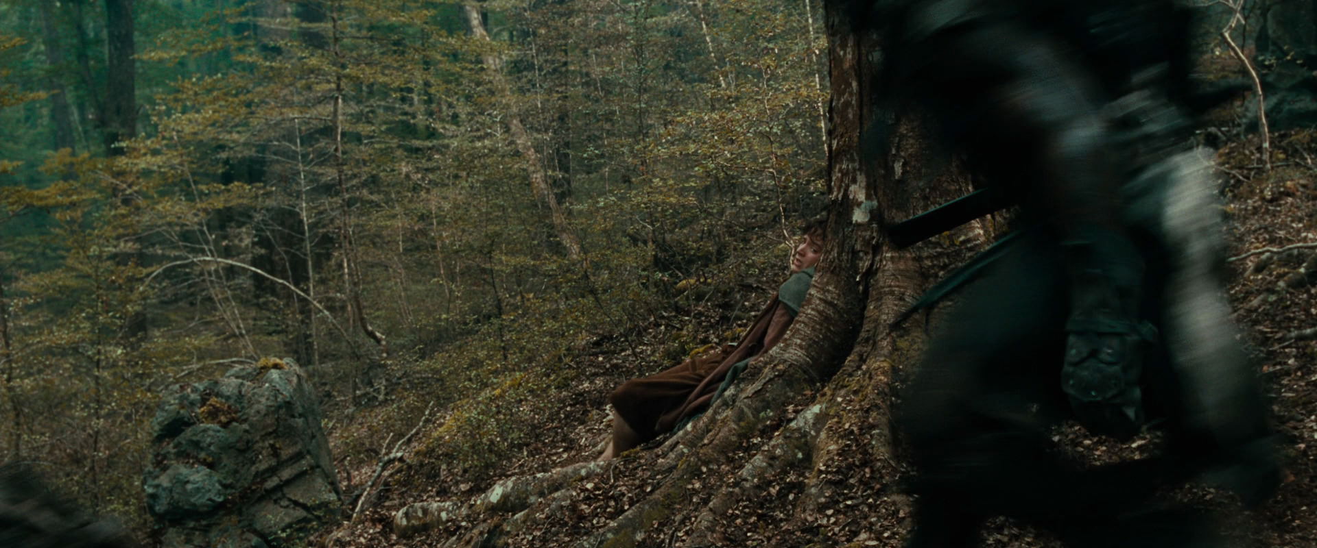 The Lord of the Rings: The Fellowship of the Ring (2001) movie still 22003