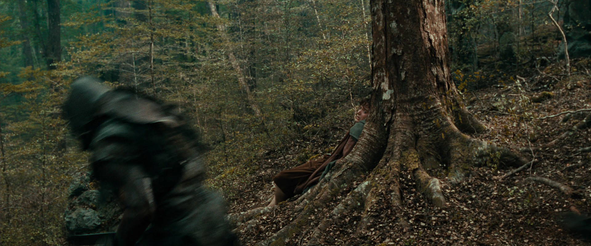 The Lord of the Rings: The Fellowship of the Ring (2001) HD screenshot 22004