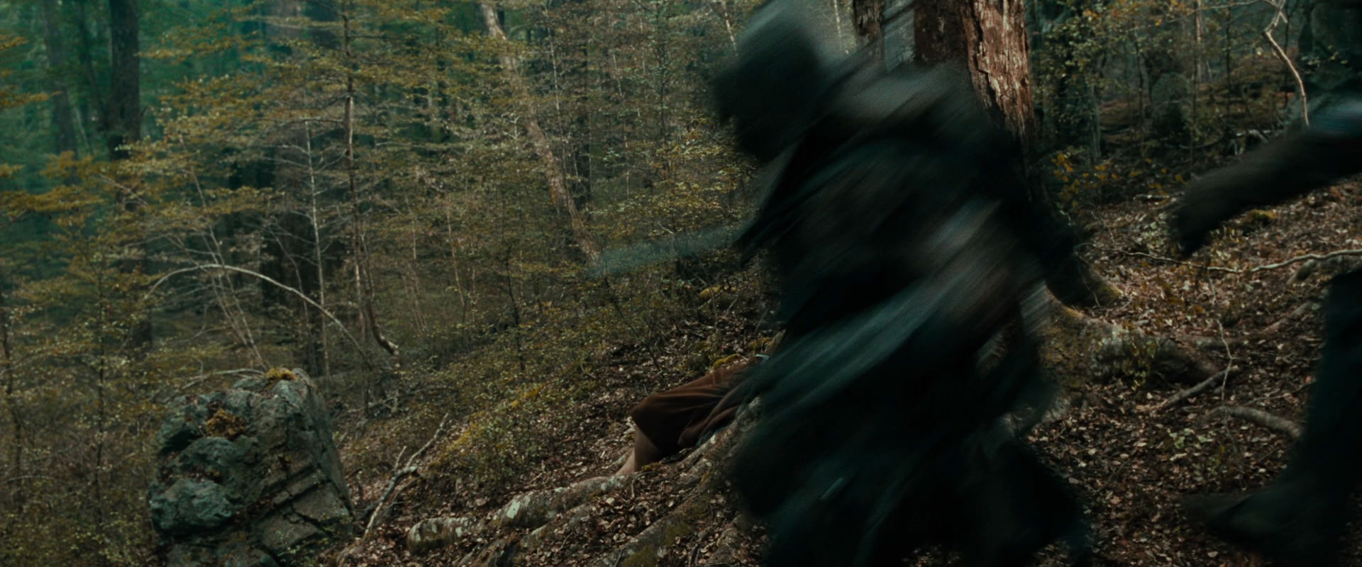 The Lord of the Rings: The Fellowship of the Ring (2001) screencap 22005