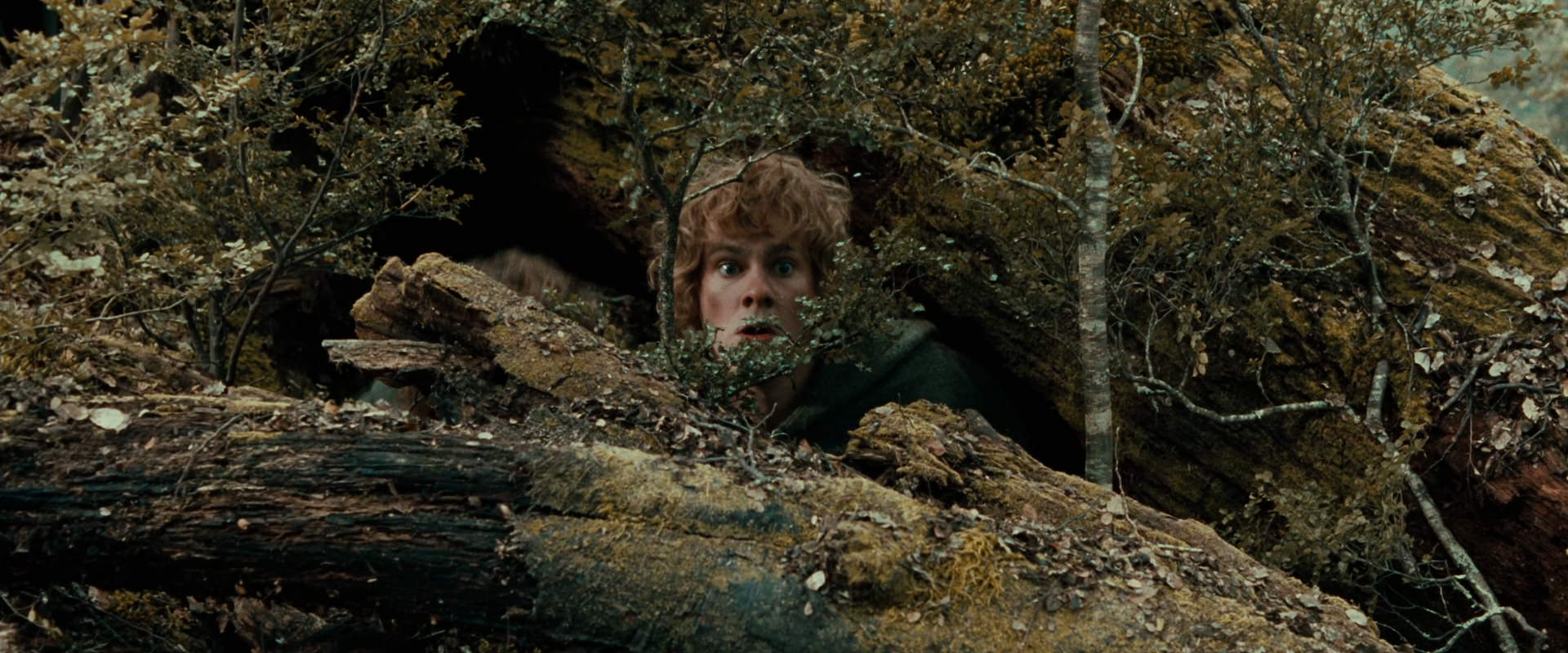 The Lord of the Rings: The Fellowship of the Ring (2001) screencap 22008