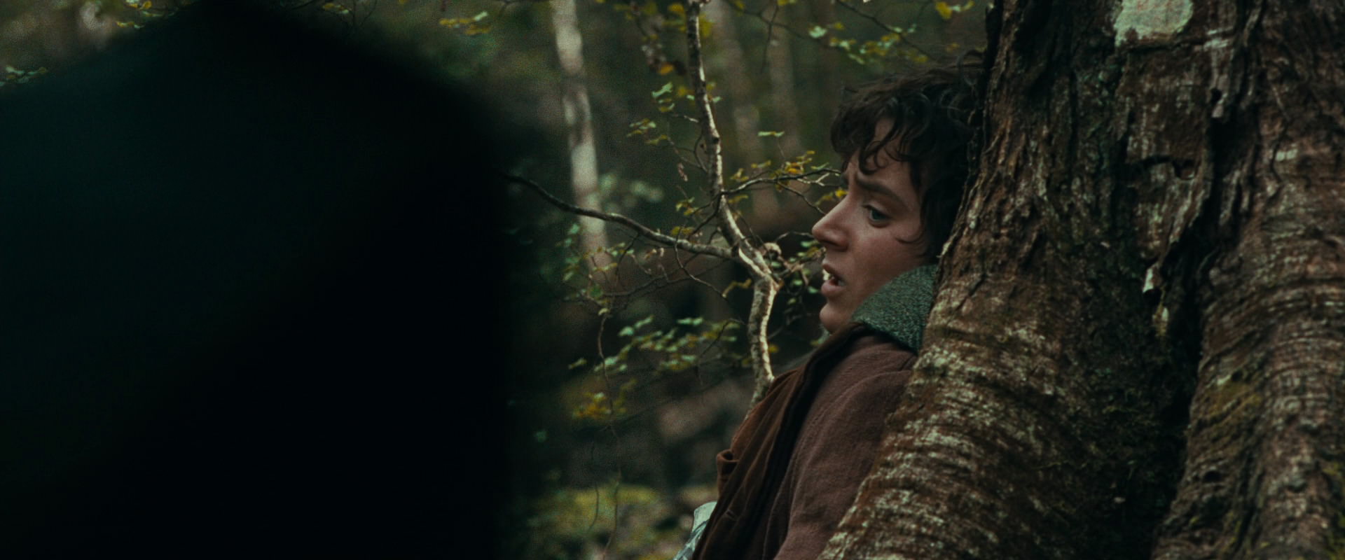 The Lord of the Rings: The Fellowship of the Ring (2001) HD screenshot 22010