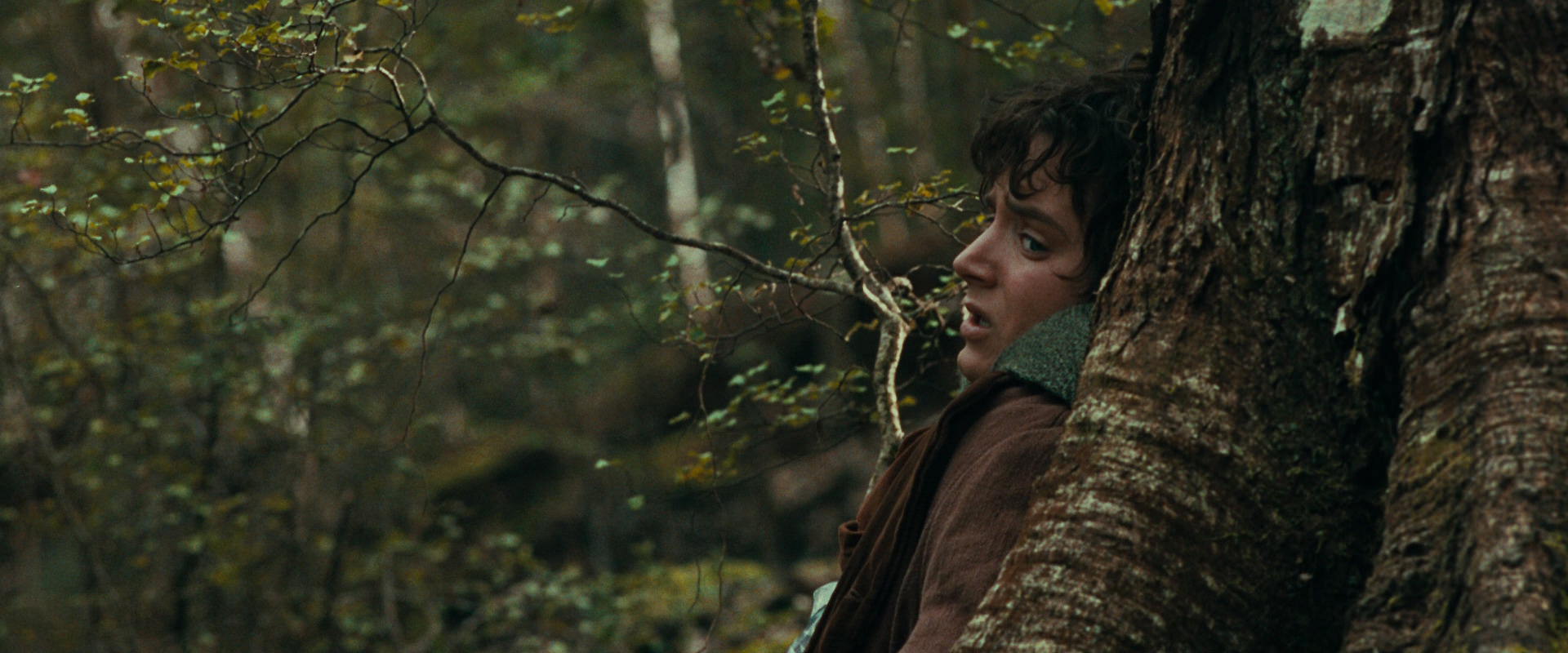 The Lord of the Rings: The Fellowship of the Ring (2001) screencap 22011