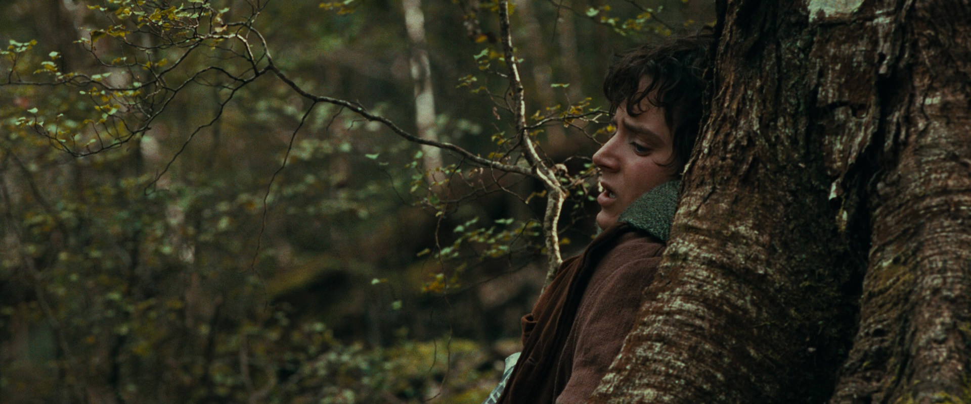 The Lord of the Rings: The Fellowship of the Ring (2001) movie still 22012