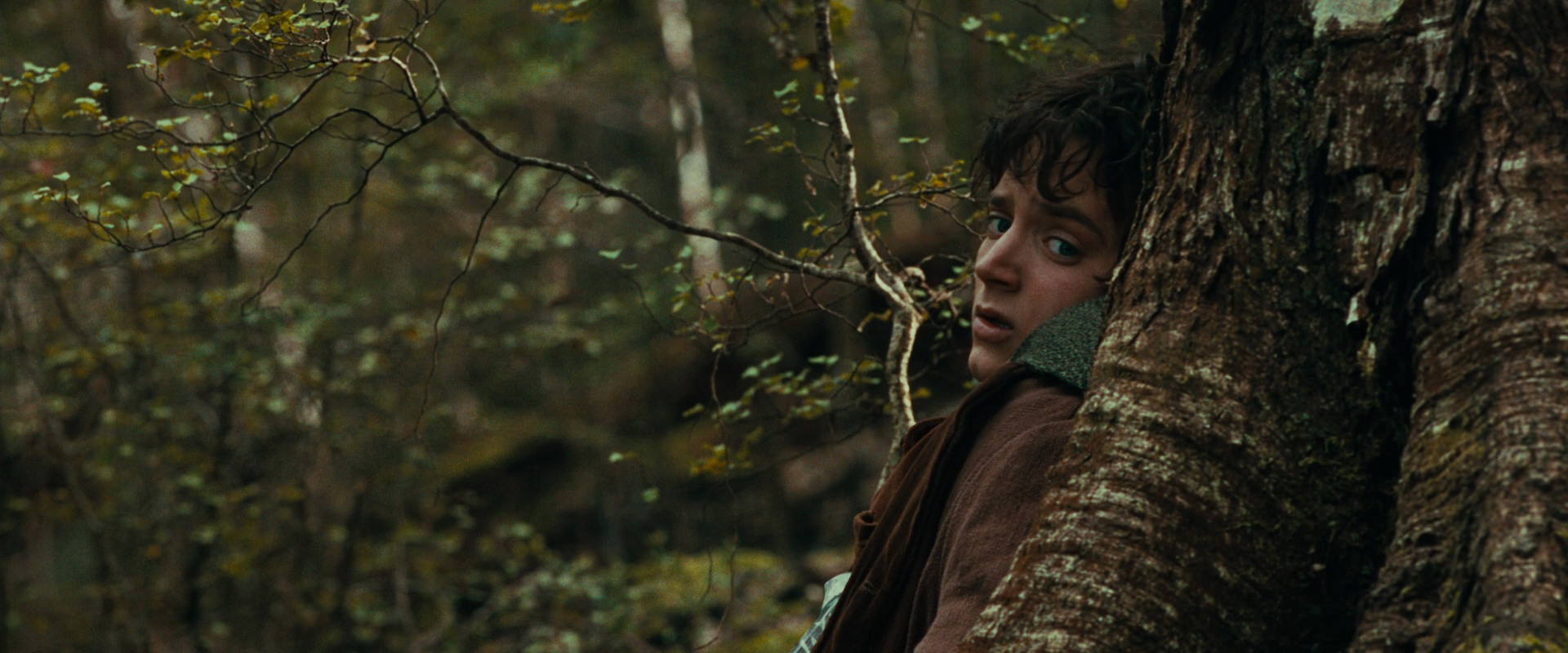 The Lord of the Rings: The Fellowship of the Ring (2001) HD screenshot 22013