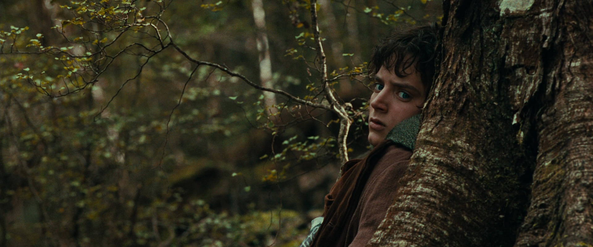 The Lord of the Rings: The Fellowship of the Ring (2001) screencap 22014