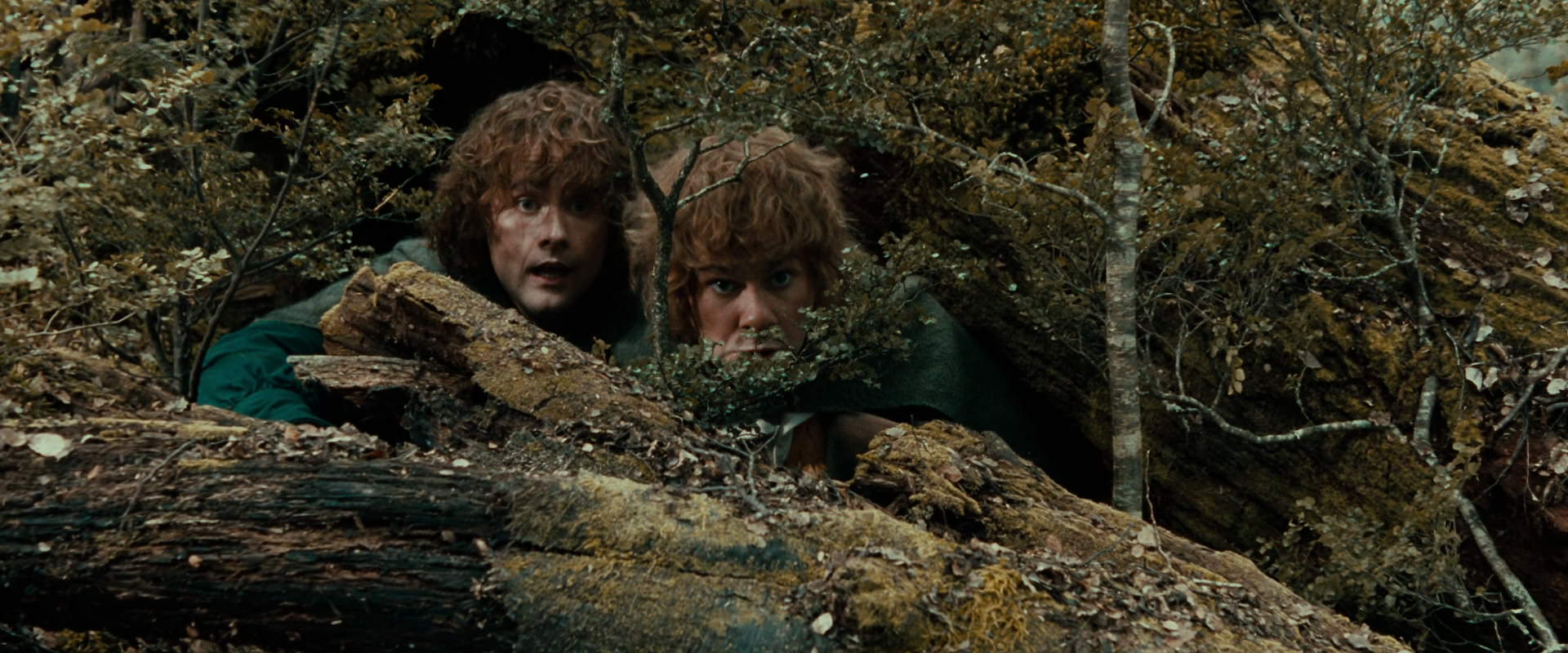 The Lord of the Rings: The Fellowship of the Ring (2001) movie still 22015