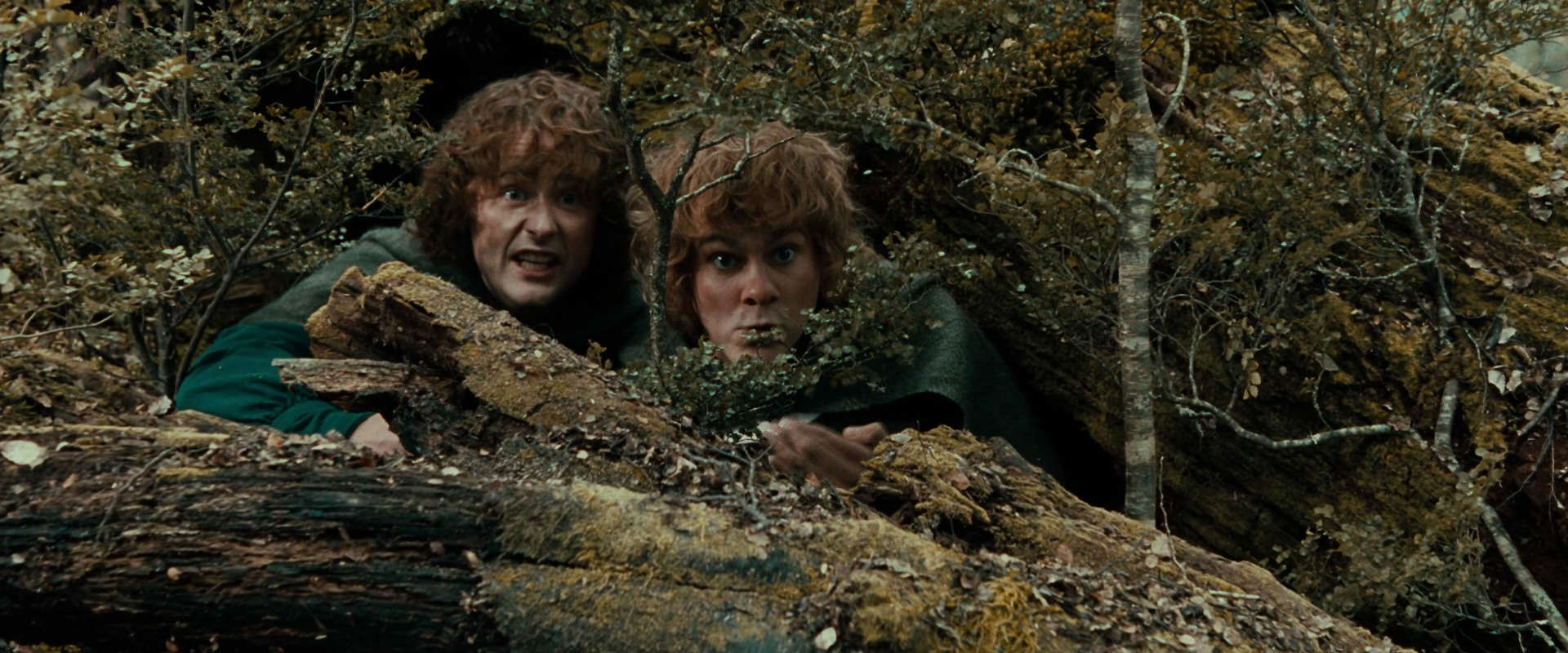 The Lord of the Rings: The Fellowship of the Ring (2001) HD screenshot 22016