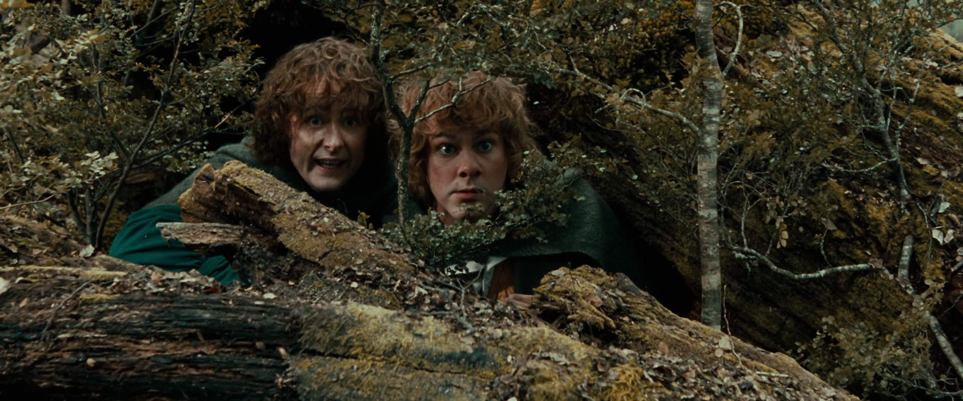 The Lord of the Rings: The Fellowship of the Ring (2001) screencap 22017
