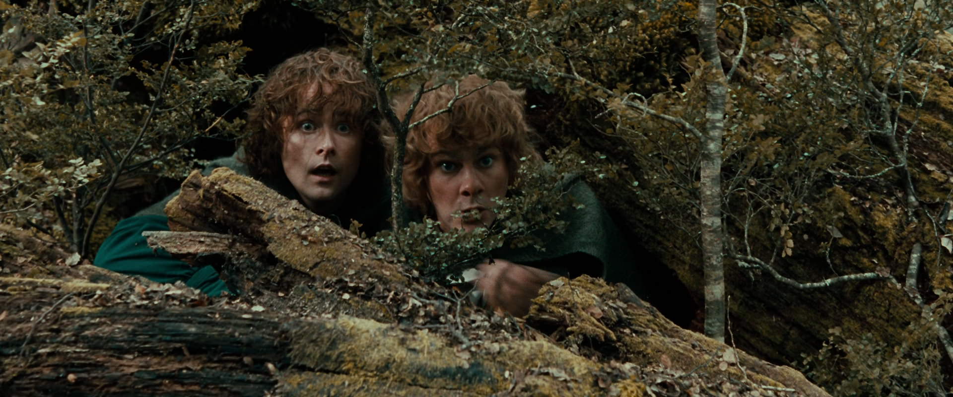 The Lord of the Rings: The Fellowship of the Ring (2001) movie still 22018