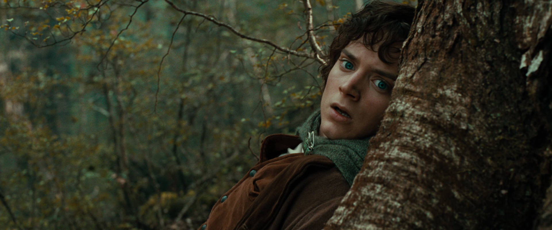 The Lord of the Rings: The Fellowship of the Ring (2001) HD screenshot 22019