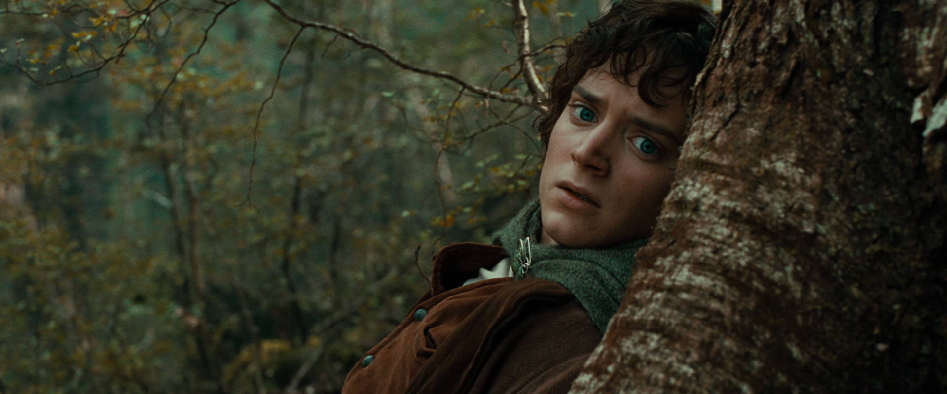 The Lord of the Rings: The Fellowship of the Ring (2001) screencap 22020