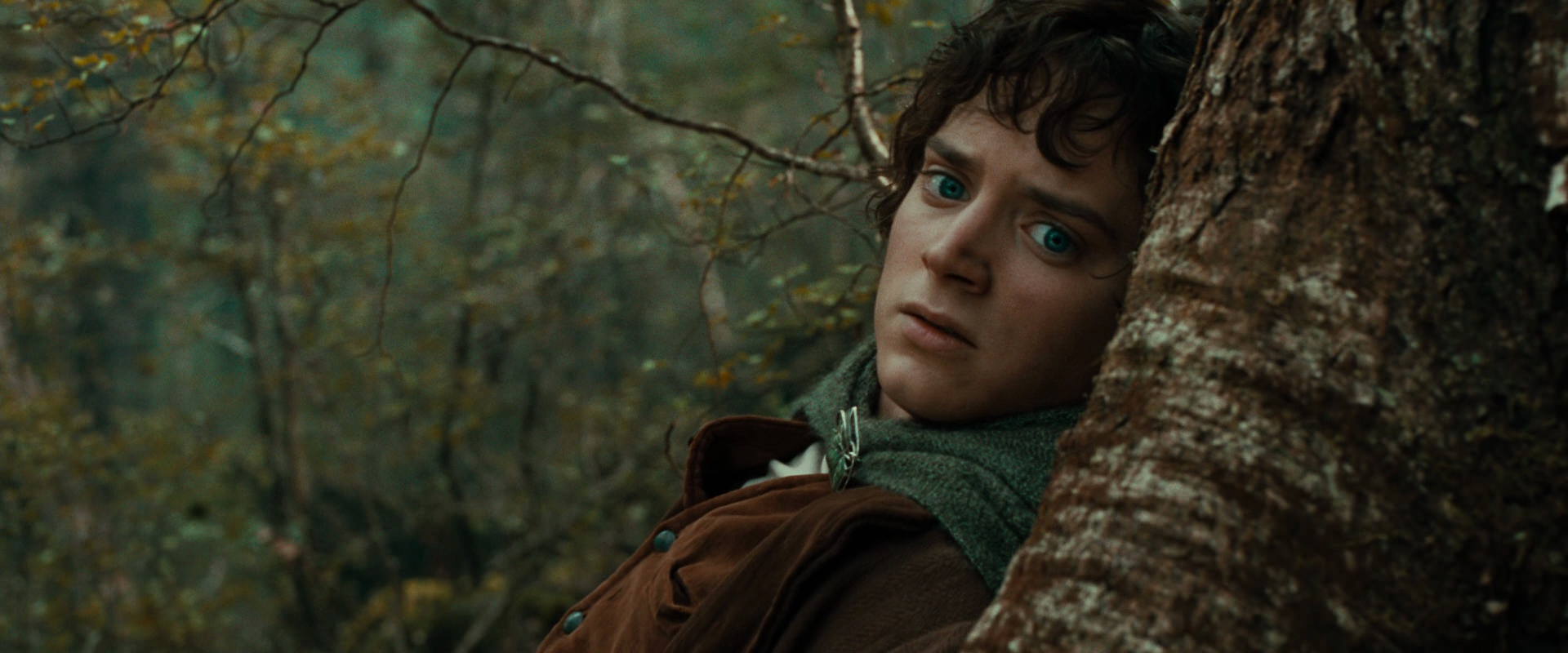 The Lord of the Rings: The Fellowship of the Ring (2001) movie still 22021
