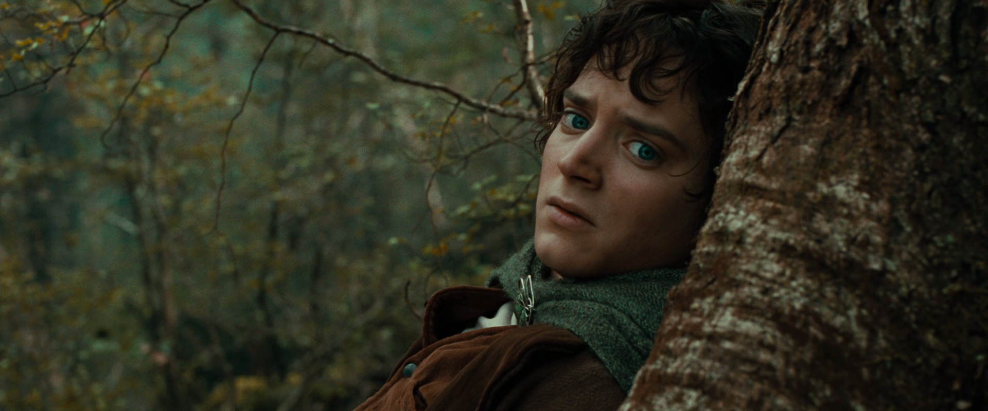 The Lord of the Rings: The Fellowship of the Ring (2001) HD screenshot 22022