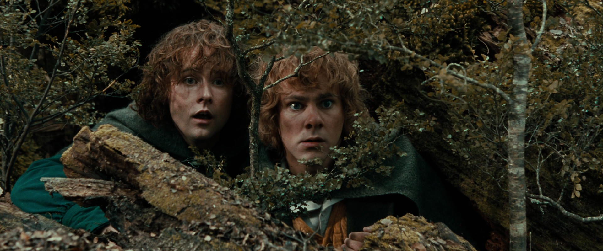 The Lord of the Rings: The Fellowship of the Ring (2001) screencap 22023