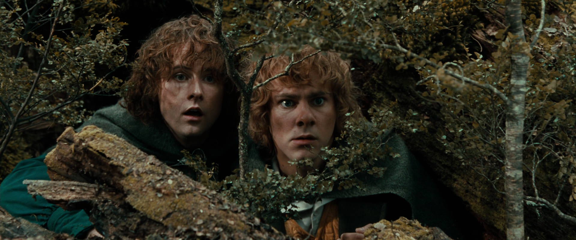 The Lord of the Rings: The Fellowship of the Ring (2001) movie still 22024