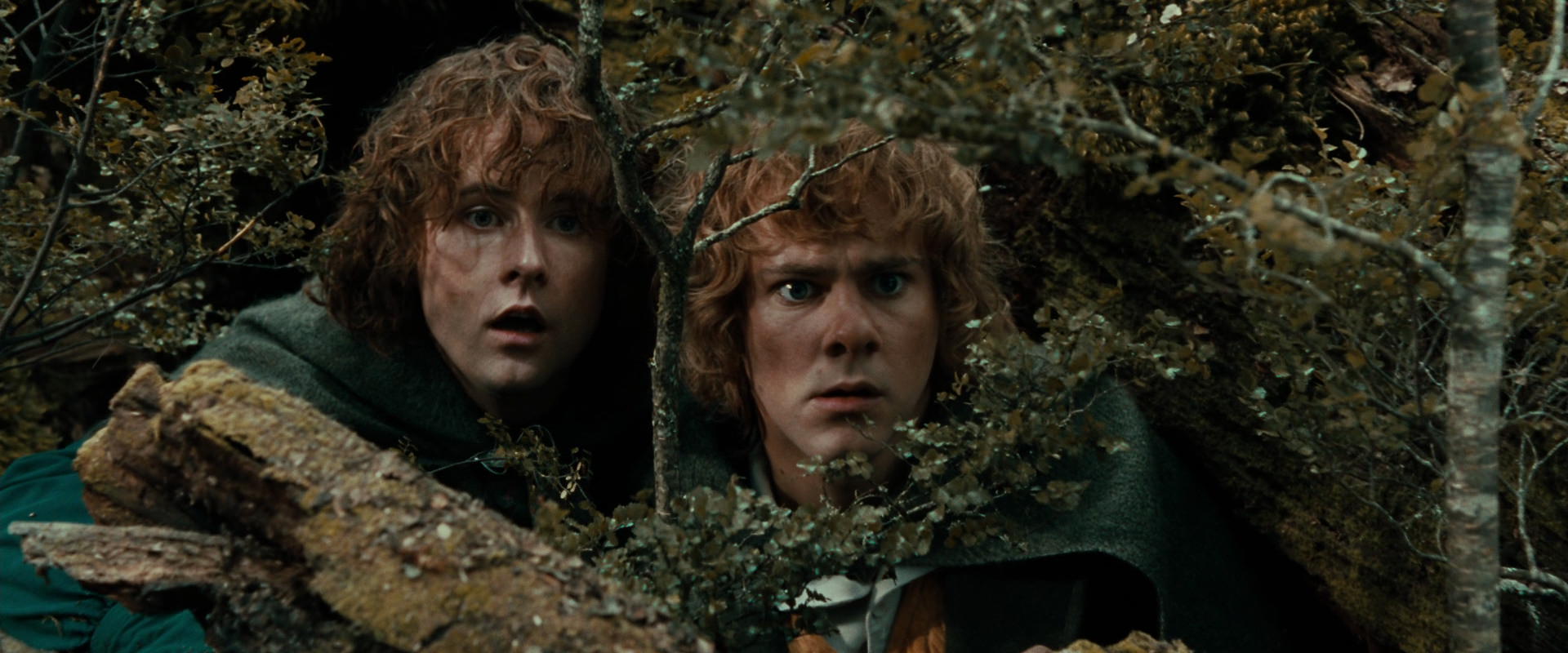 The Lord of the Rings: The Fellowship of the Ring (2001) HD screenshot 22025