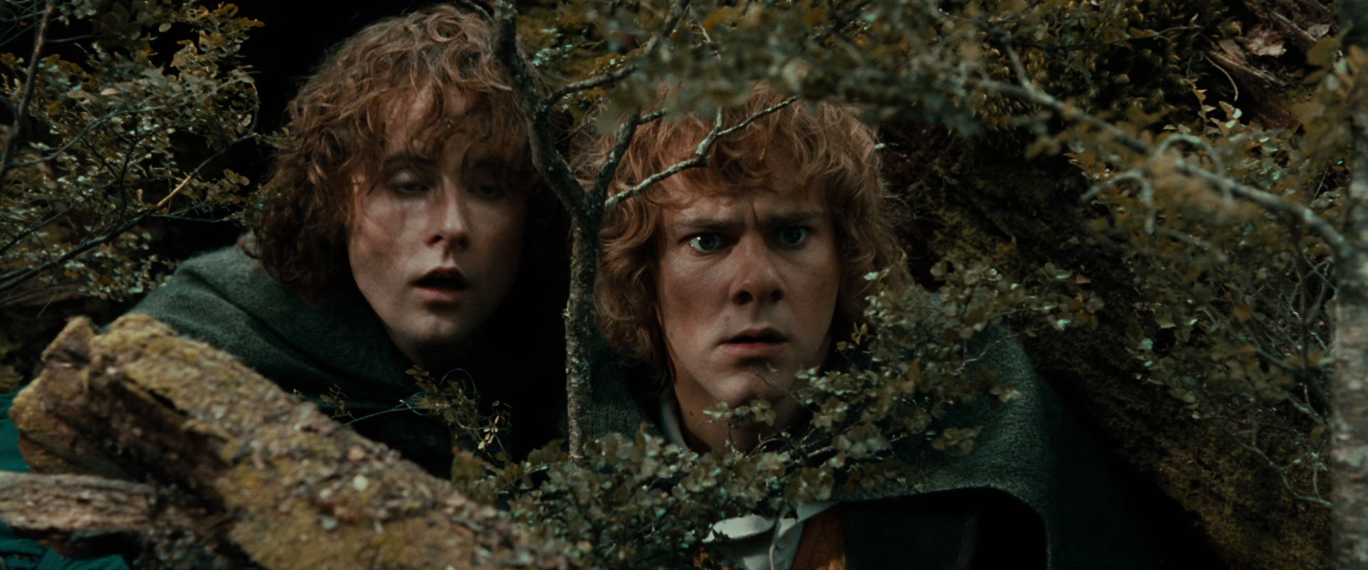 The Lord of the Rings: The Fellowship of the Ring (2001) screencap 22026