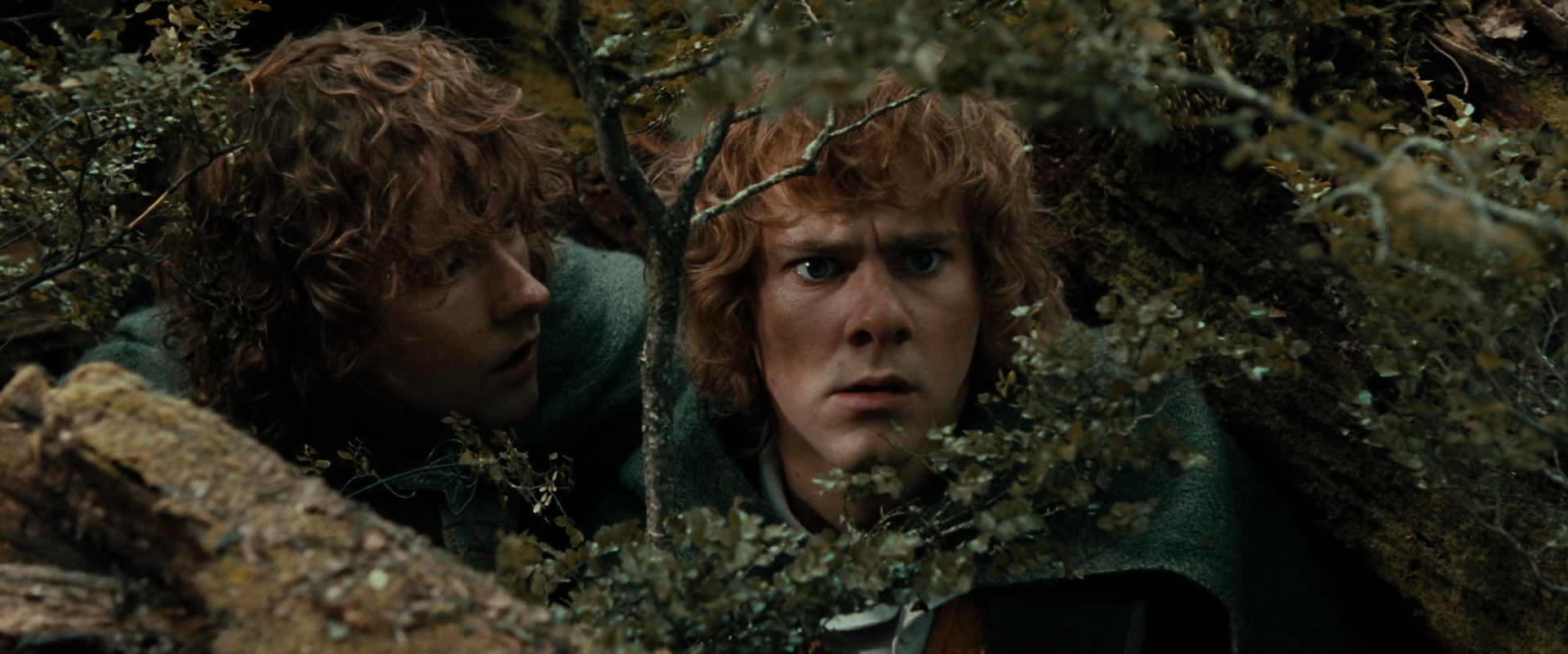 The Lord of the Rings: The Fellowship of the Ring (2001) movie still 22027