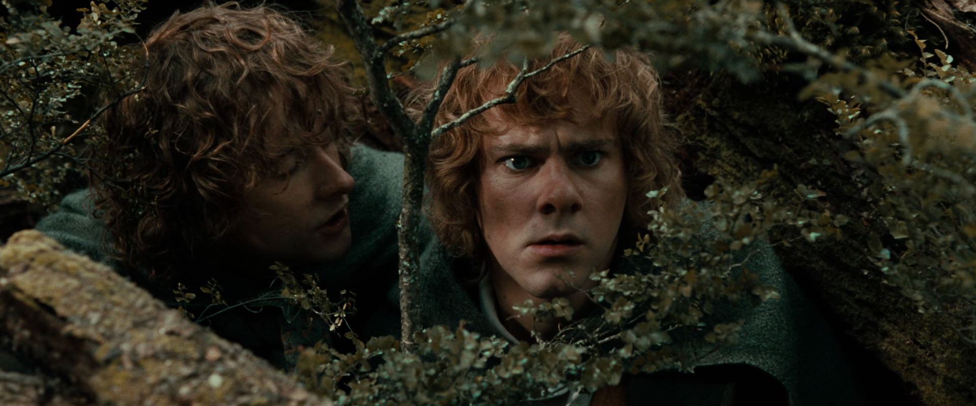 The Lord of the Rings: The Fellowship of the Ring (2001) HD screenshot 22028