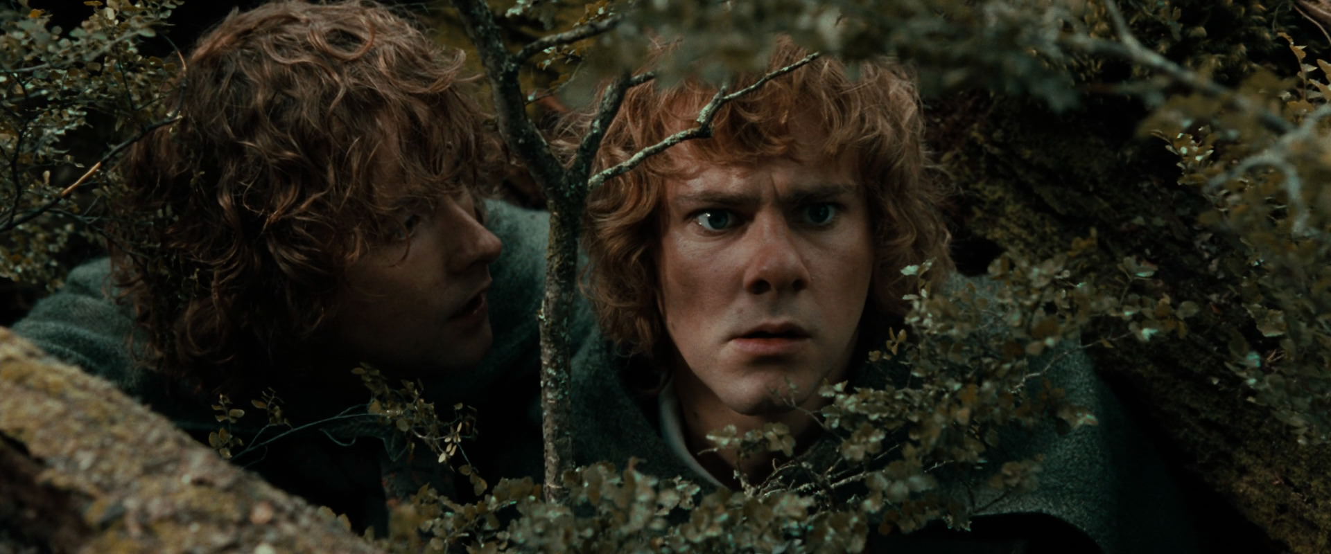 The Lord of the Rings: The Fellowship of the Ring (2001) screencap 22029