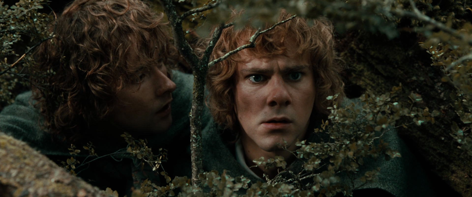 The Lord of the Rings: The Fellowship of the Ring (2001) movie still 22030